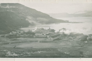 Bilde av Grytviken landstadsjon.